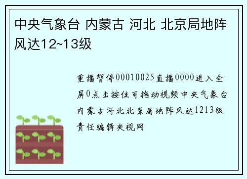 中央气象台 内蒙古 河北 北京局地阵风达12~13级